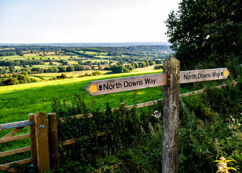 Development Management (Planning)